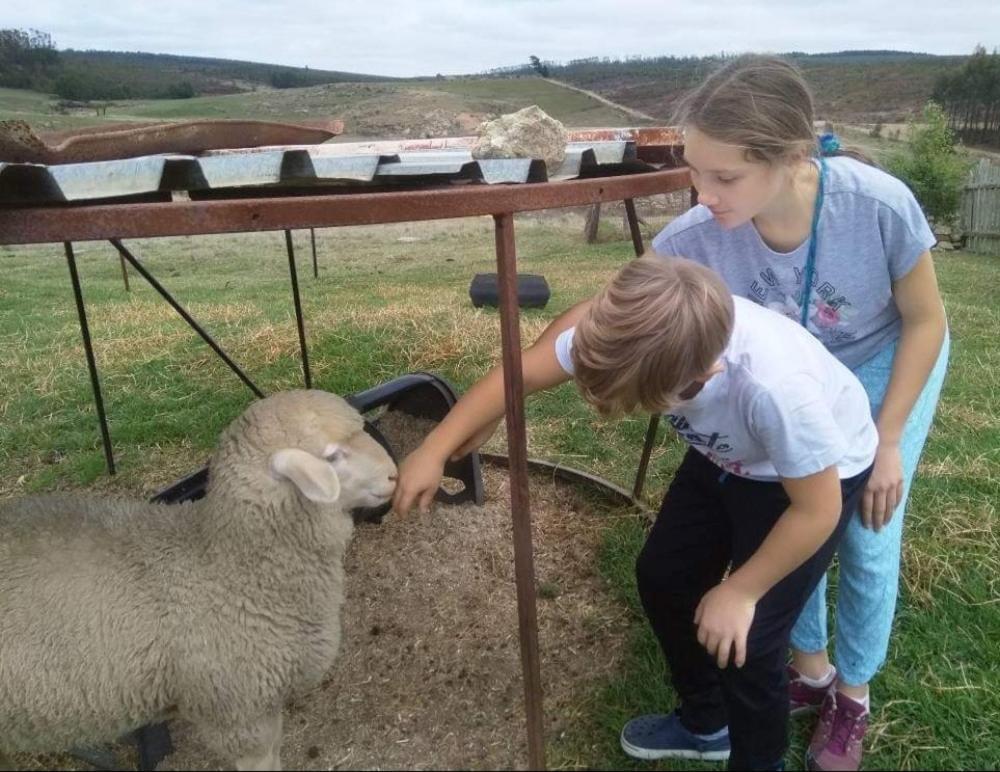 Lochiel Rocks & Roses Farm Stay المظهر الخارجي الصورة