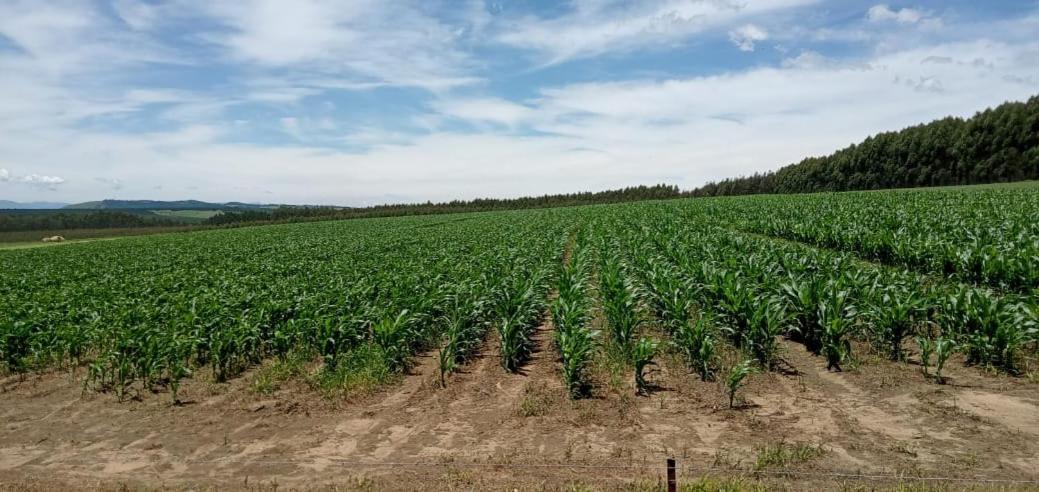 Lochiel Rocks & Roses Farm Stay المظهر الخارجي الصورة