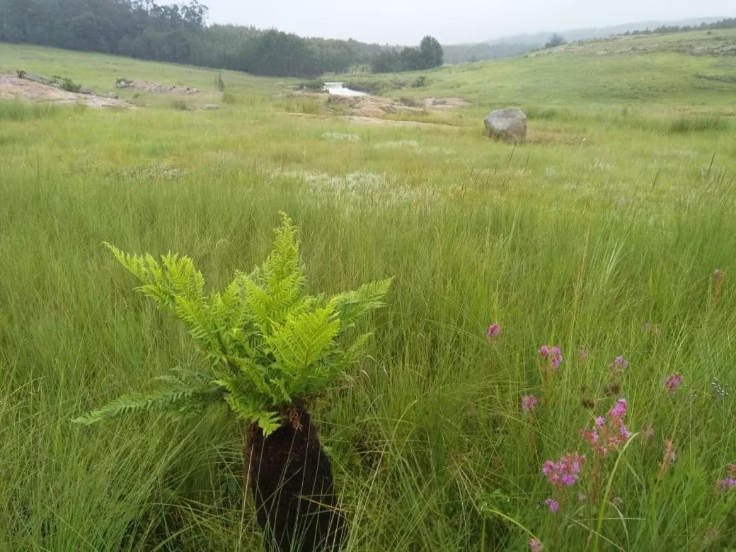 Lochiel Rocks & Roses Farm Stay المظهر الخارجي الصورة
