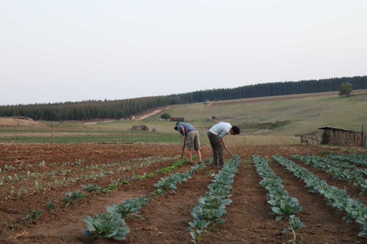 Lochiel Rocks & Roses Farm Stay المظهر الخارجي الصورة