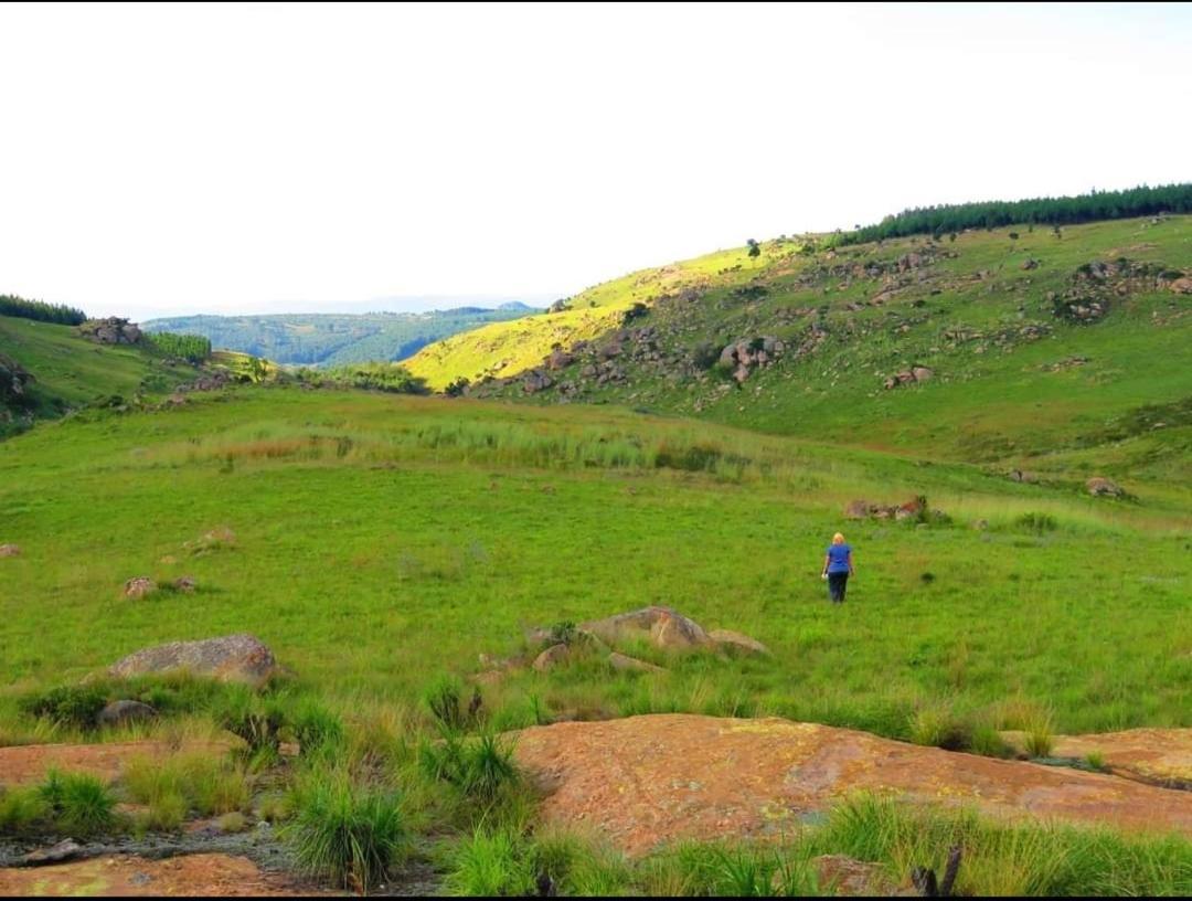 Lochiel Rocks & Roses Farm Stay المظهر الخارجي الصورة