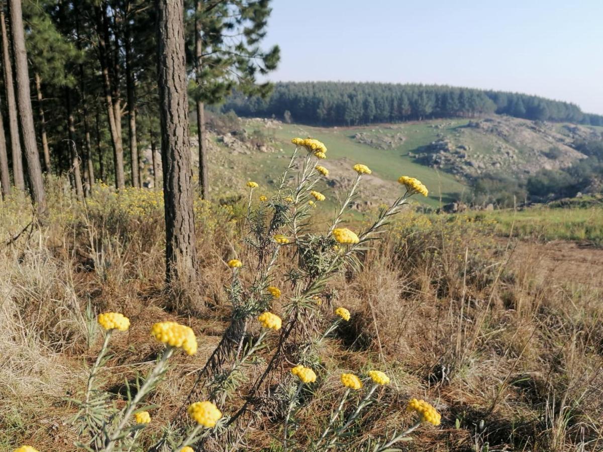 Lochiel Rocks & Roses Farm Stay المظهر الخارجي الصورة