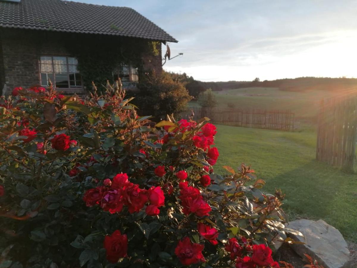 Lochiel Rocks & Roses Farm Stay المظهر الخارجي الصورة