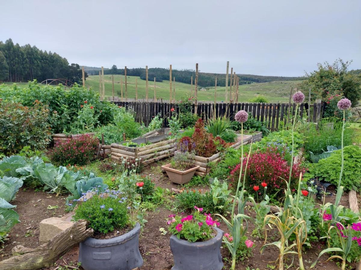 Lochiel Rocks & Roses Farm Stay المظهر الخارجي الصورة