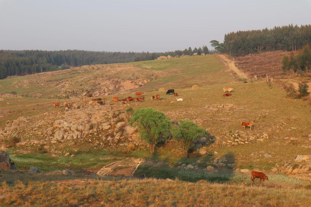 Lochiel Rocks & Roses Farm Stay المظهر الخارجي الصورة